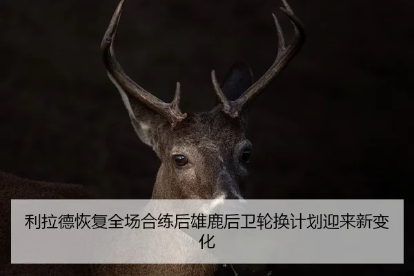 利拉德恢复全场合练后雄鹿后卫轮换计划迎来新变化